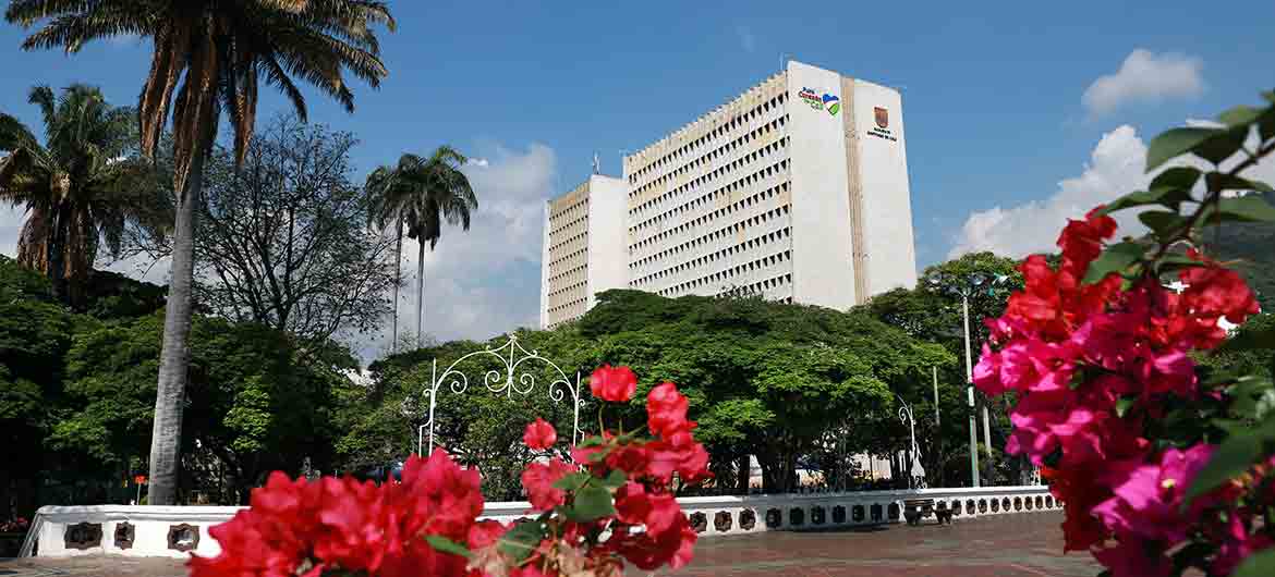 Universidad santiago de cali con flores rosadas